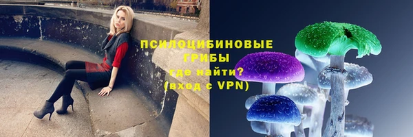 прущие грибы Бугульма