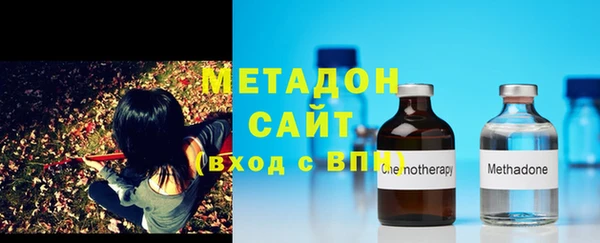 прущие грибы Бородино