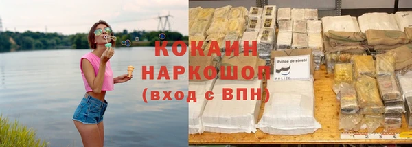 прущие грибы Бородино