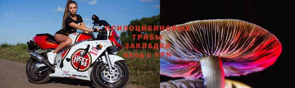 прущие грибы Бугульма