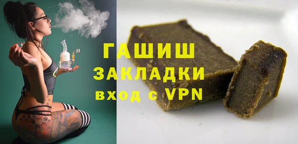 прущие грибы Бородино