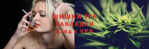 прущие грибы Бугульма