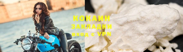 прущие грибы Бородино