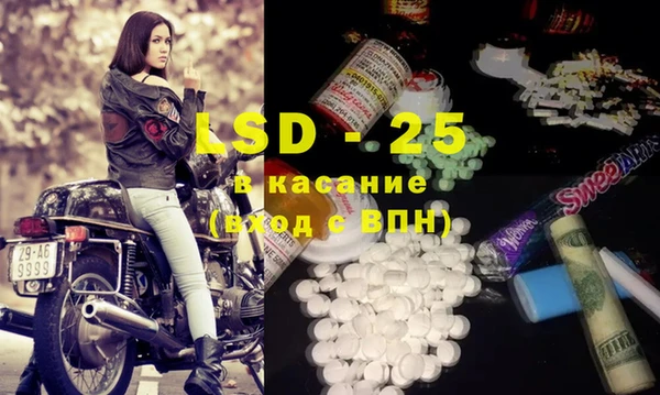 прущие грибы Бугульма