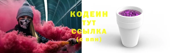 прущие грибы Бородино