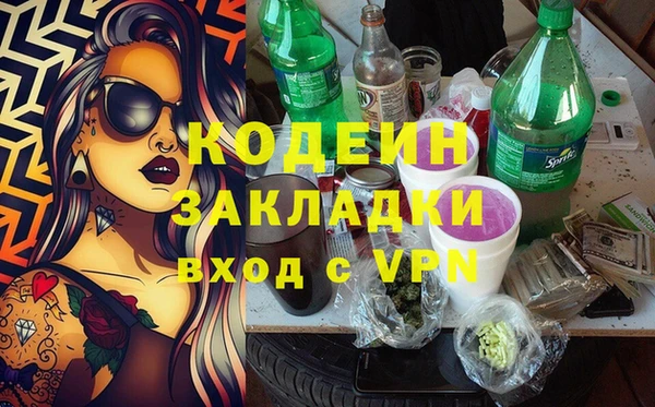 прущие грибы Бородино