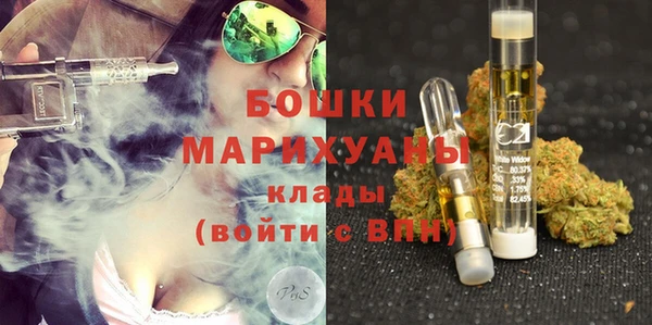 хмурый Бронницы