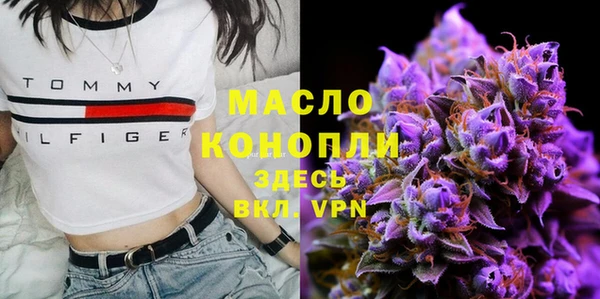 прущие грибы Бородино