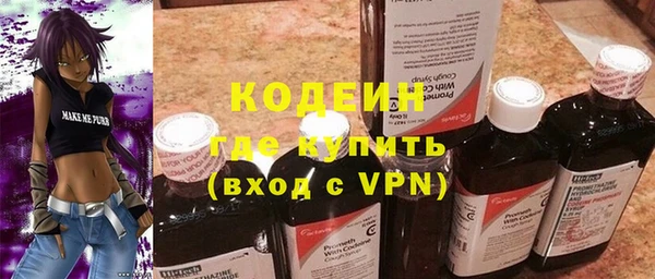 прущие грибы Бородино