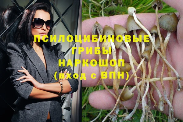 хмурый Бронницы