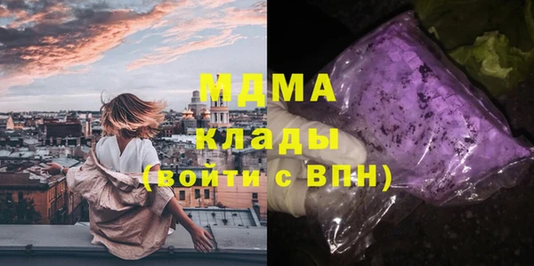прущие грибы Бородино