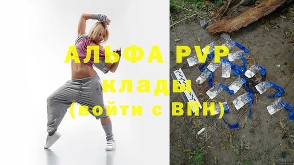 прущие грибы Бугульма