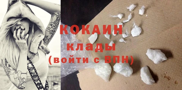 прущие грибы Бородино
