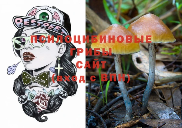 хмурый Бронницы