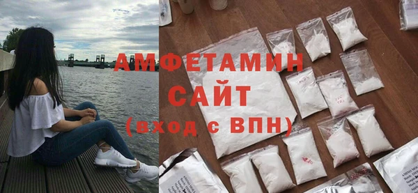 прущие грибы Бородино