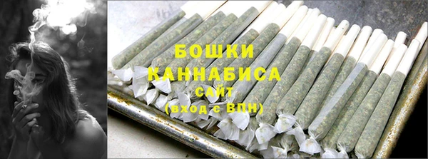 прущие грибы Бугульма