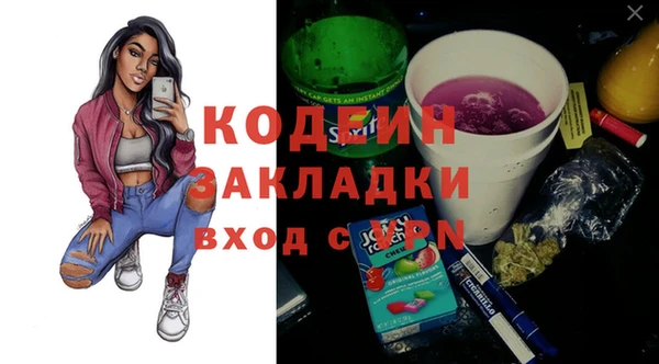 прущие грибы Бородино