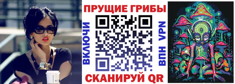 Галлюциногенные грибы MAGIC MUSHROOMS Новодвинск